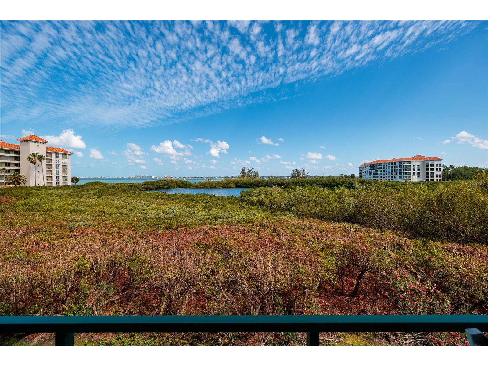 4801 Osprey Drive S #207 Saint Petersburg FL 33711 - BOCA CIEGA BAY TB8504395 image26