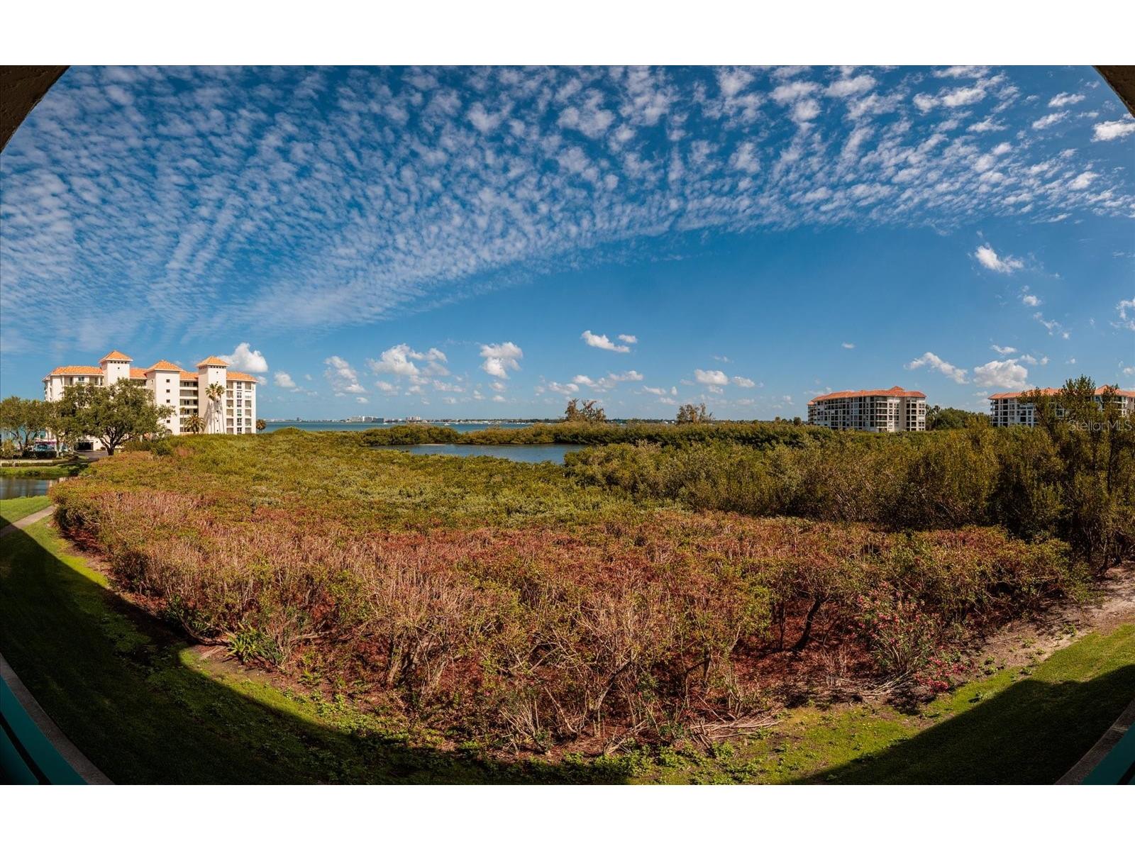 4801 Osprey Drive S #207 Saint Petersburg FL 33711 - BOCA CIEGA BAY TB8504395 image28