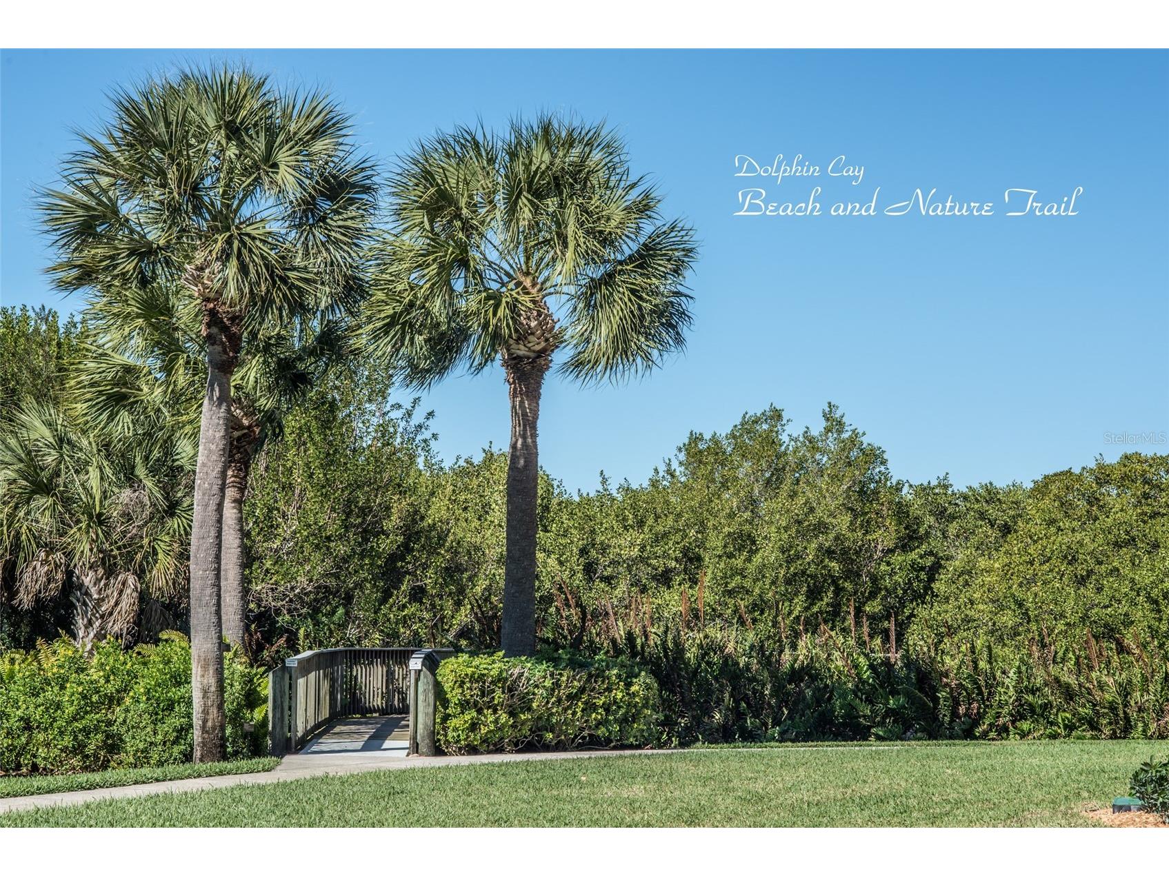 4801 Osprey Drive S #209 Saint Petersburg FL 33711 - BOCA CIEGA BAY TB8348098 image44