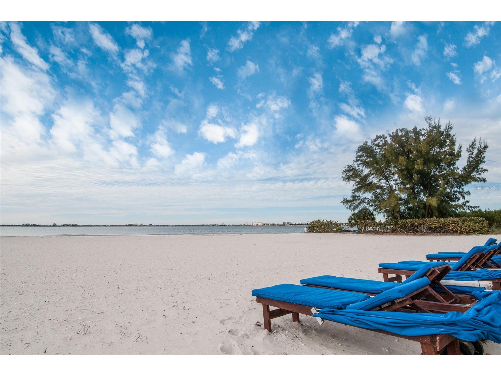 4801 Osprey Drive S #209 Saint Petersburg FL 33711 - BOCA CIEGA BAY TB8348098 image47