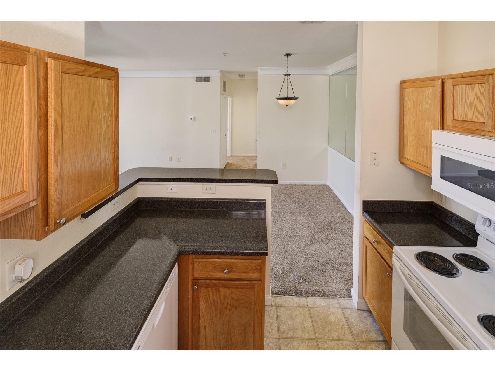 4802 51st Street W #1015 Bradenton FL 34210 A4691150 image19