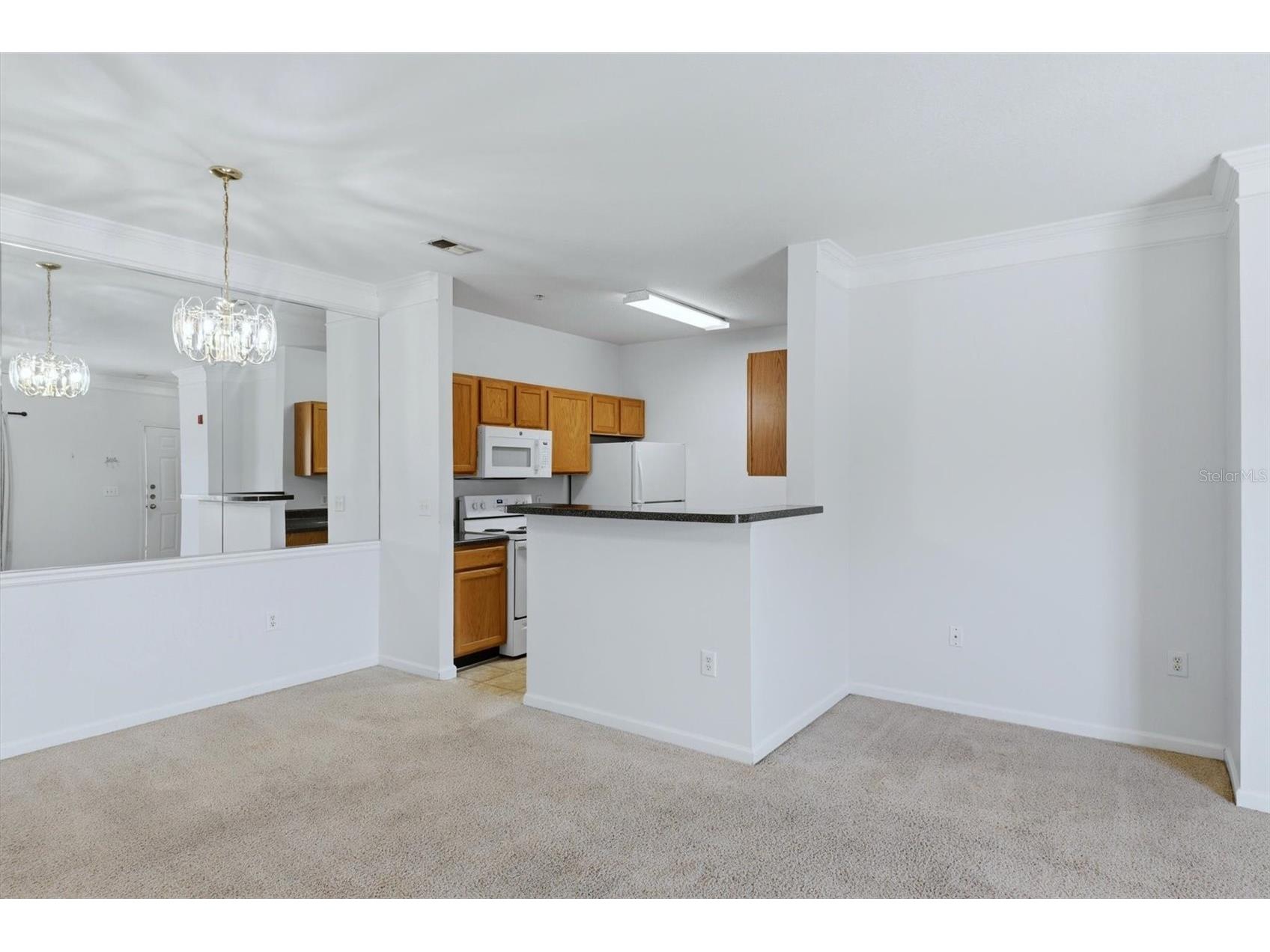 4802 51st Street W #1703 Bradenton FL 34210 A4684445 image10