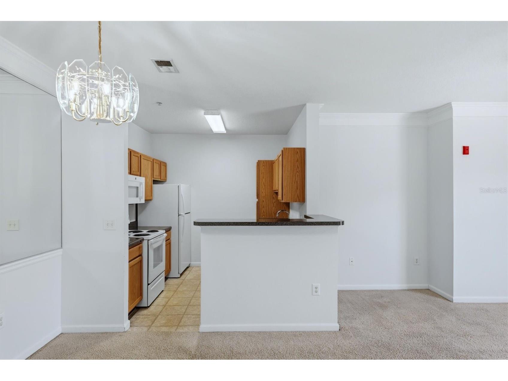 4802 51st Street W #1703 Bradenton FL 34210 A4684445 image12