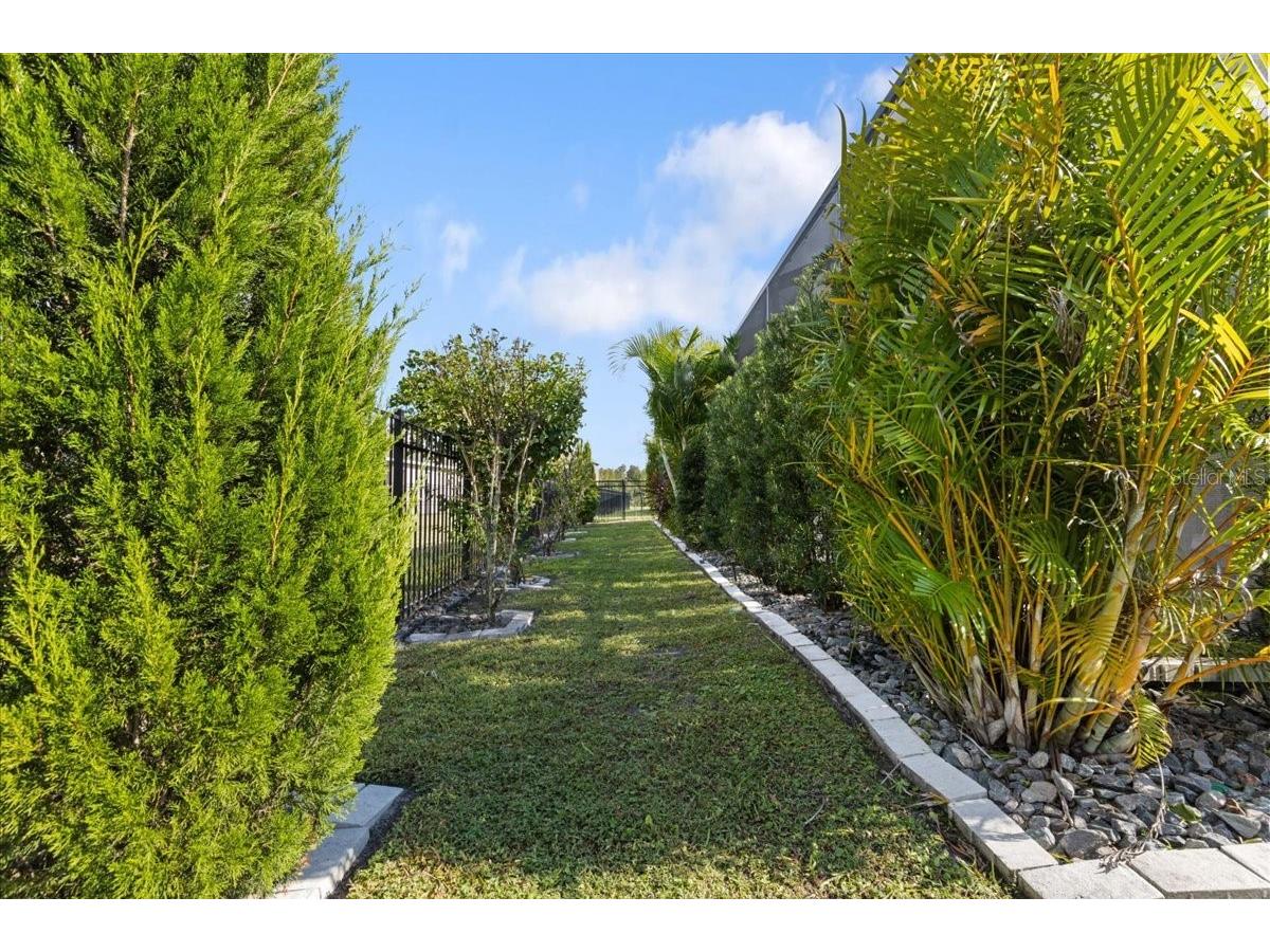 4802 Butler National Drive Wesley Chapel FL 33543 TB8471338 image23