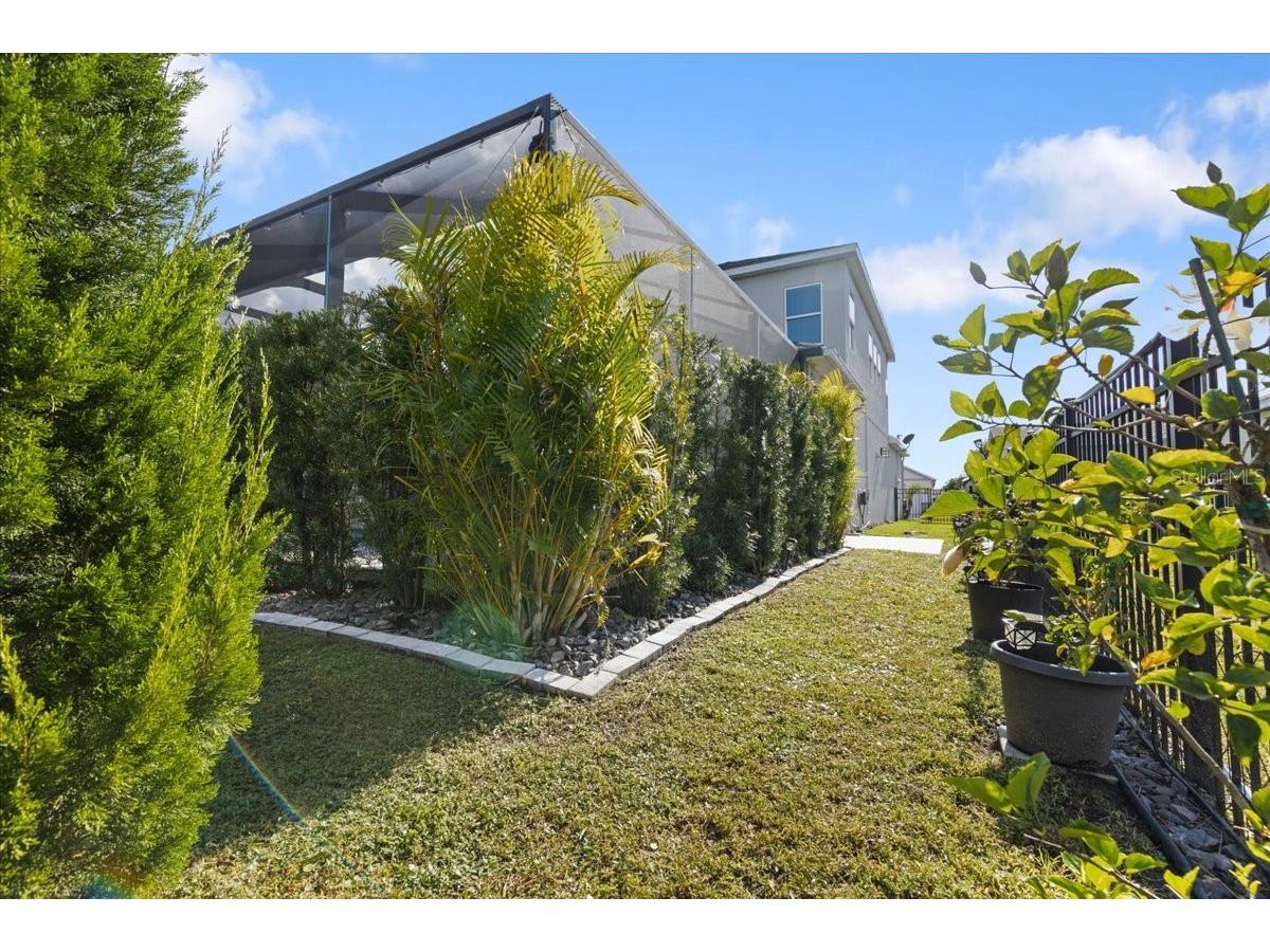 4802 Butler National Drive Wesley Chapel FL 33543 TB8471338 image24