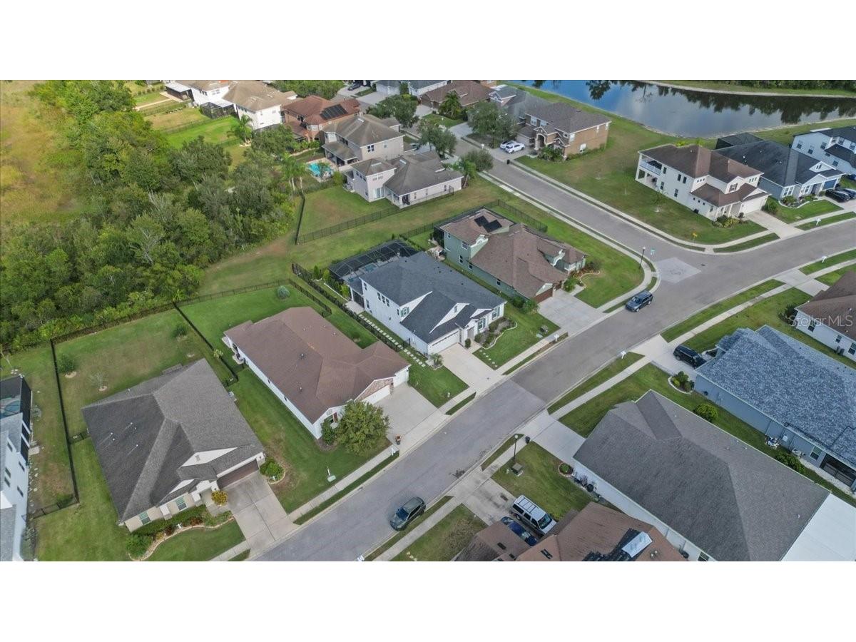 4802 Butler National Drive Wesley Chapel FL 33543 TB8471338 image7