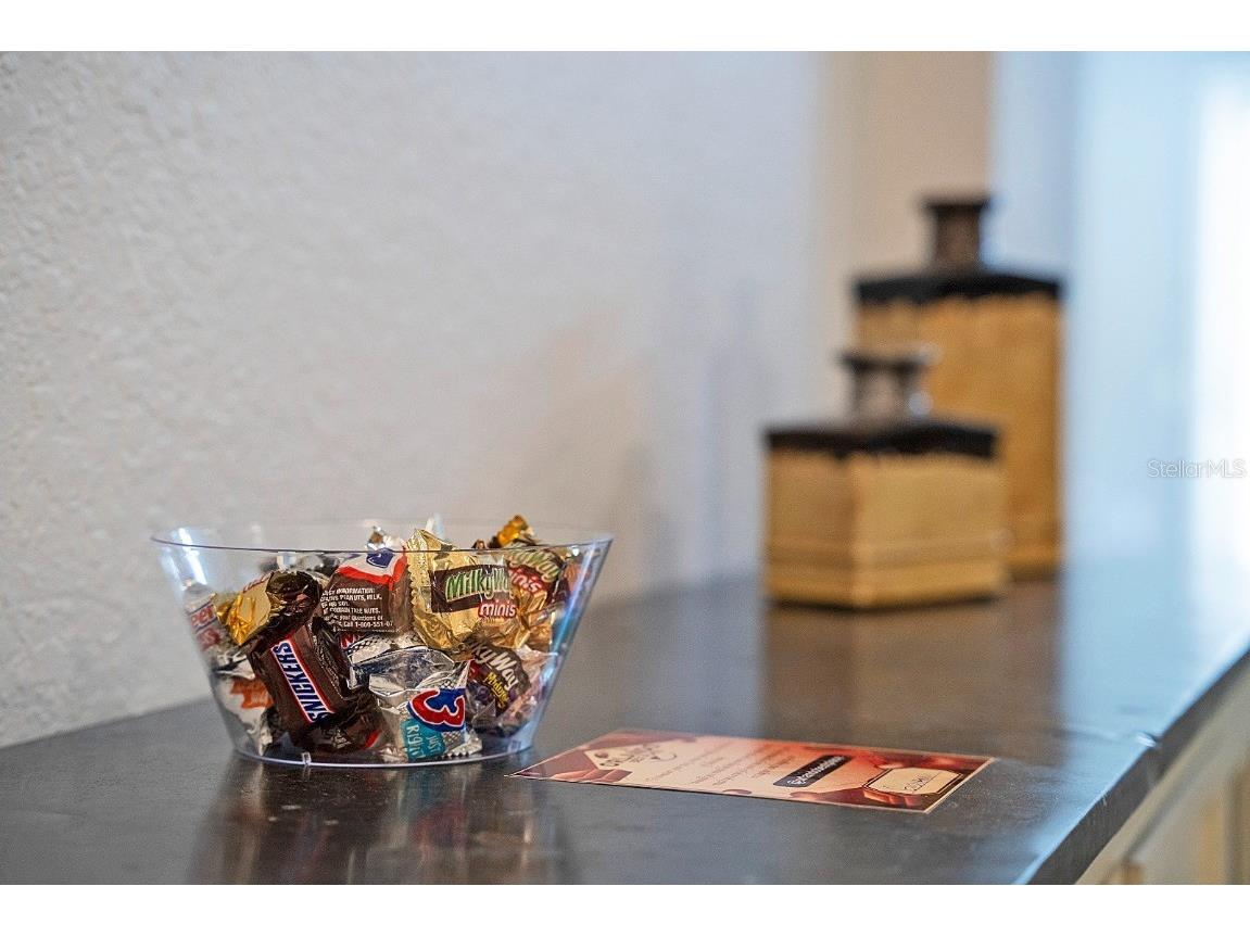 4802 Cayview Avenue #30914 Orlando FL 32819 O6333105 image12