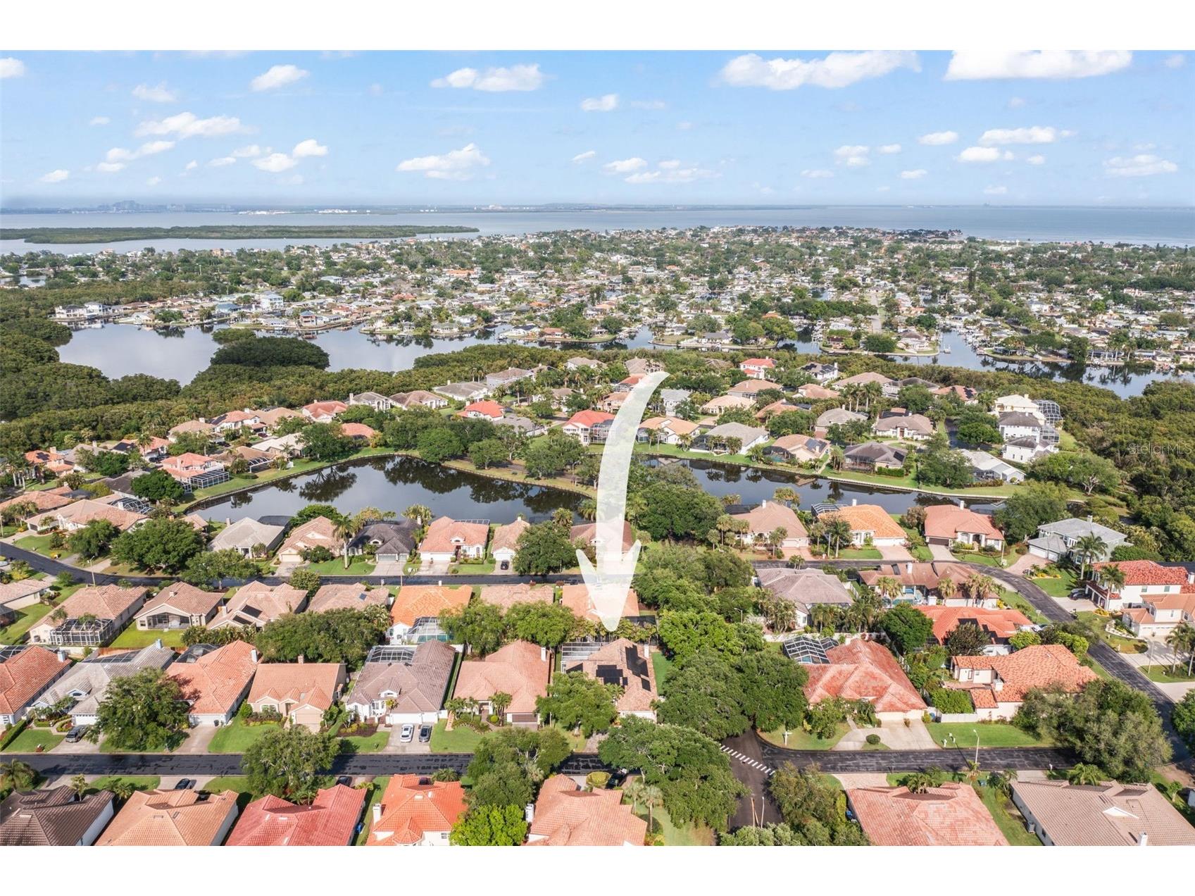 4802 Queen Palm Terrace NE Saint Petersburg FL 33703 TB8494923 image59