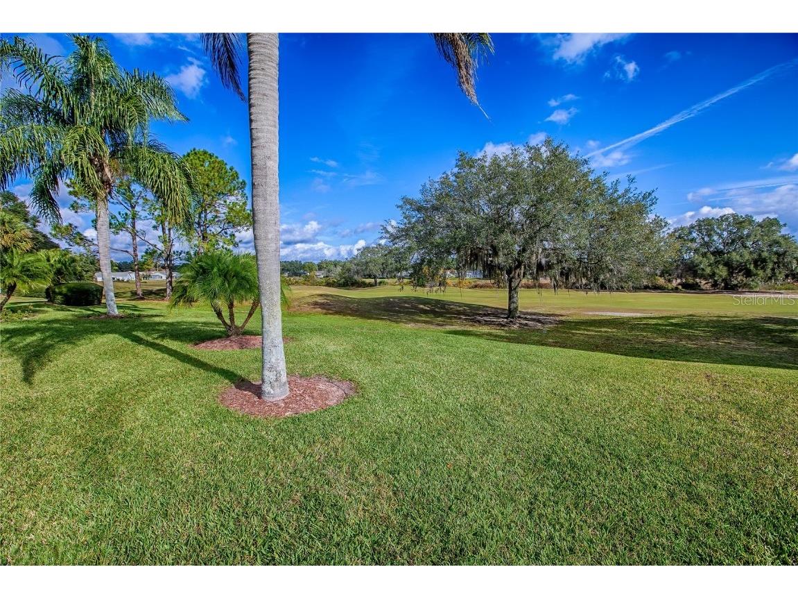 4802 Summerbridge Circle Leesburg FL 34748 G5105827 image45