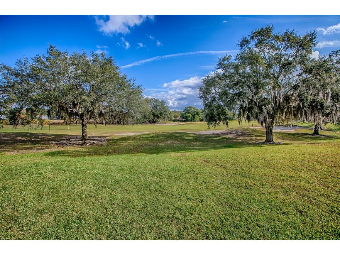 4802 Summerbridge Circle Leesburg FL 34748 G5105827 image46