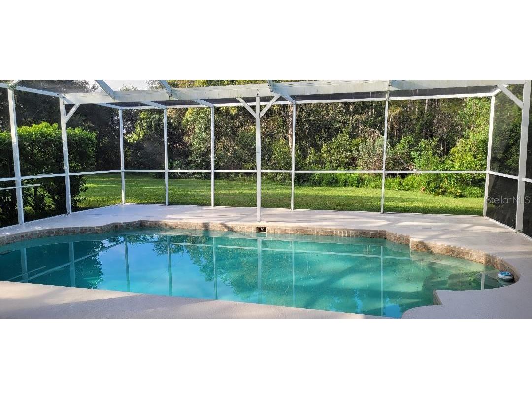 4802 Tea Rose Court Lutz FL 33558 TB8423034 image13