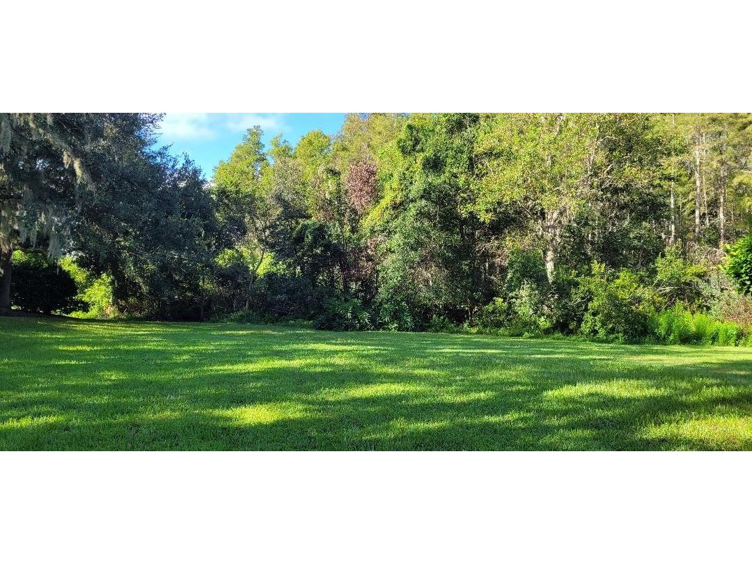 4802 Tea Rose Court Lutz FL 33558 TB8423034 image15