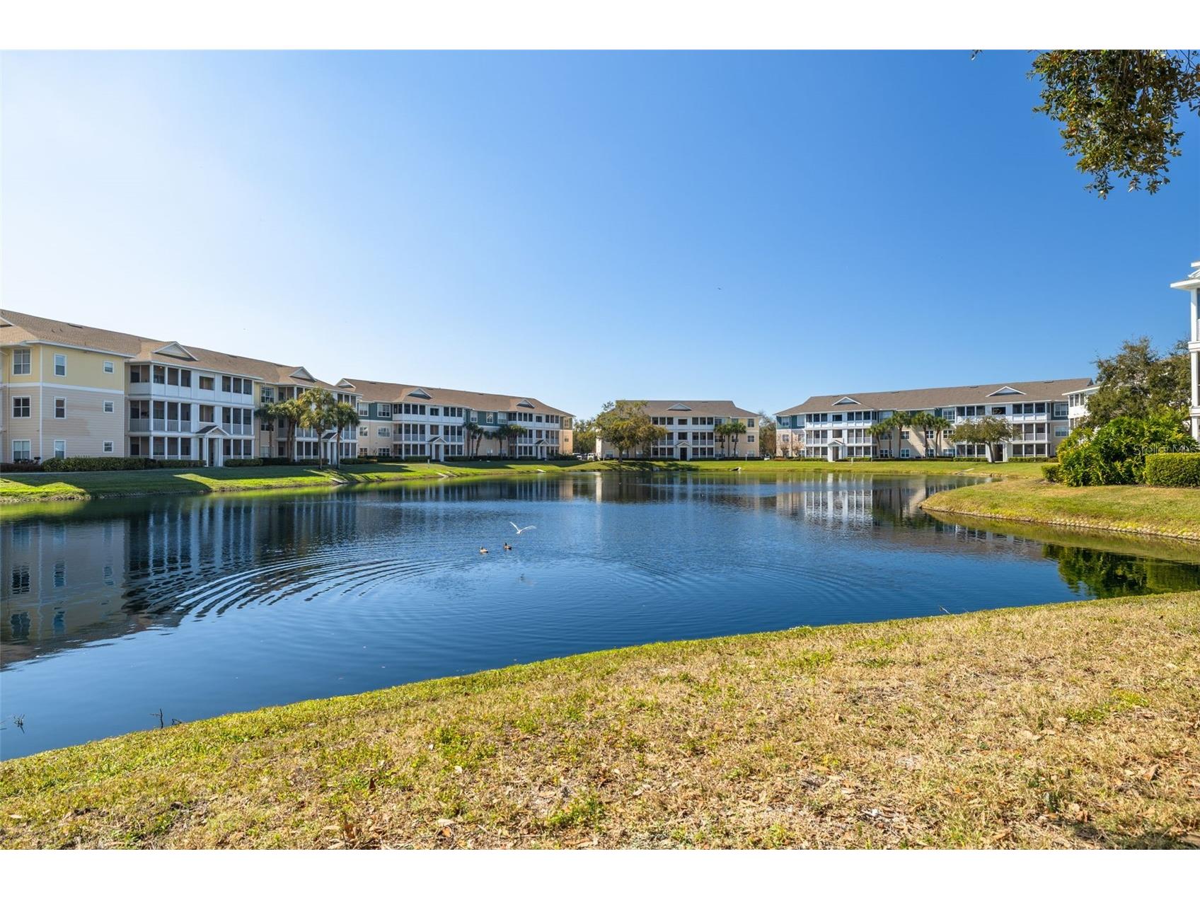 4802 W 51st Street #812 Bradenton FL 34210 A4680541 image32