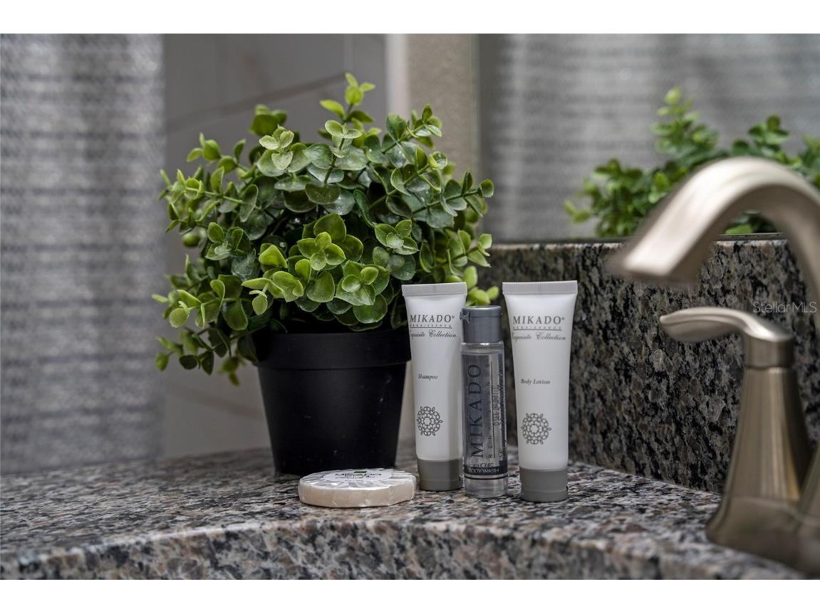 4803 Brier Rose Lane Kissimmee FL 34746 O6153815 image13