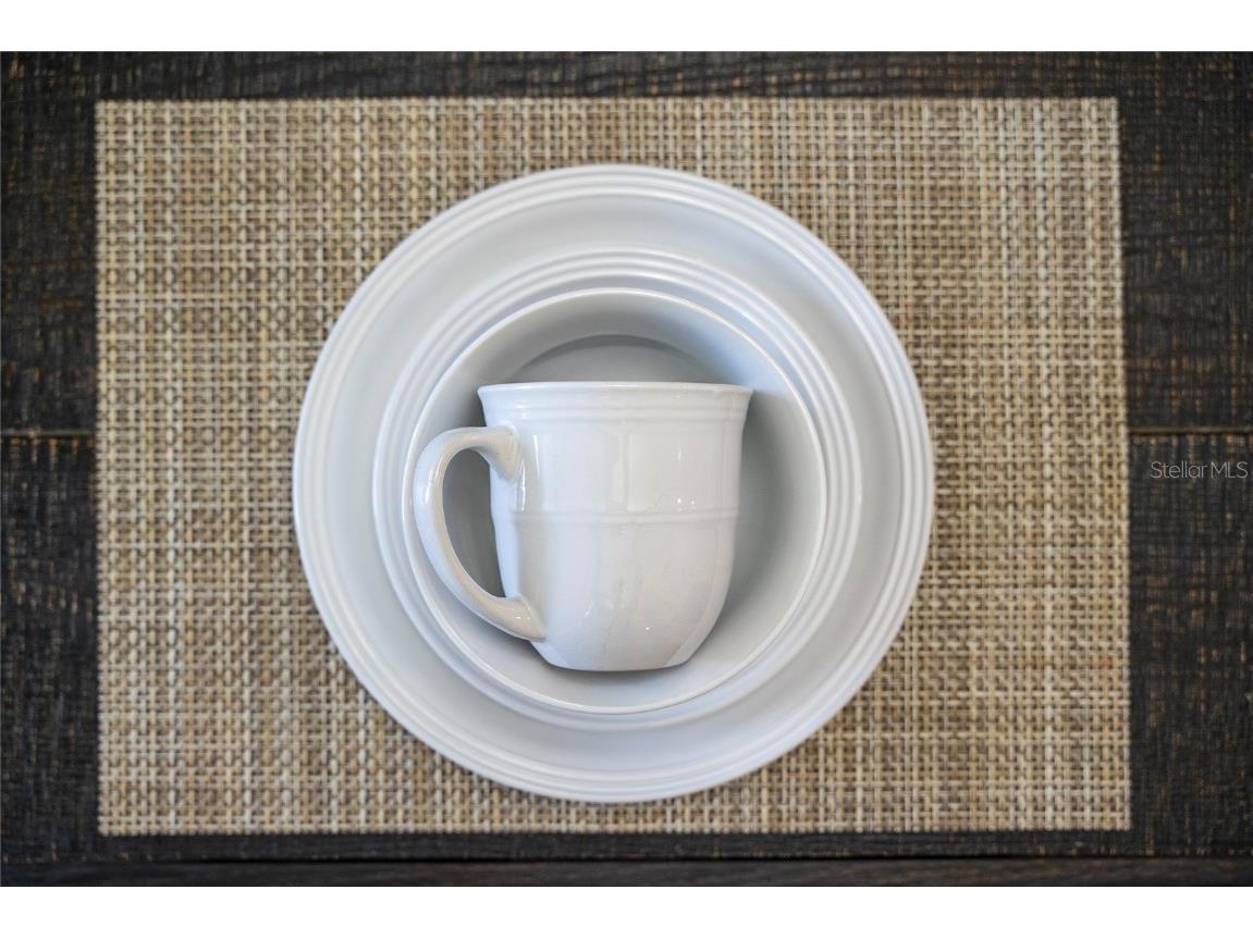 4803 Brier Rose Lane Kissimmee FL 34746 O6153815 image14