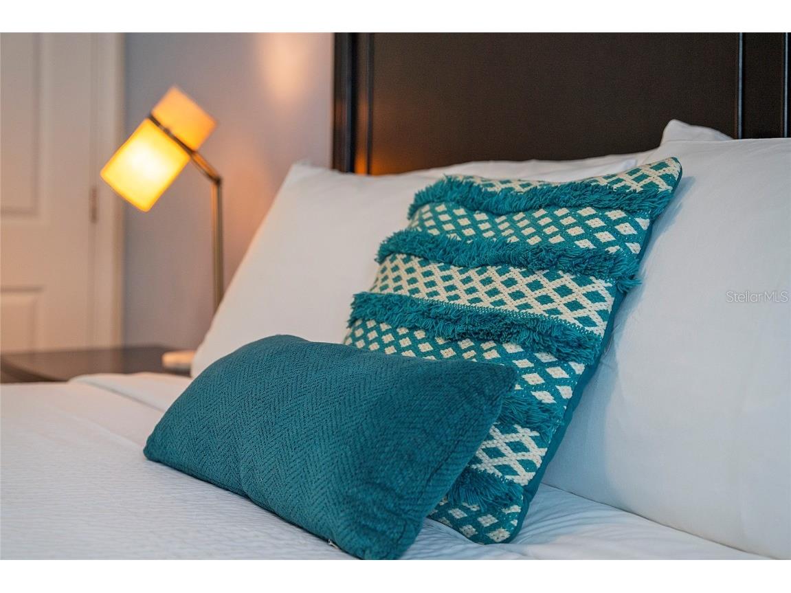 4803 Brier Rose Lane Kissimmee FL 34746 O6153815 image15