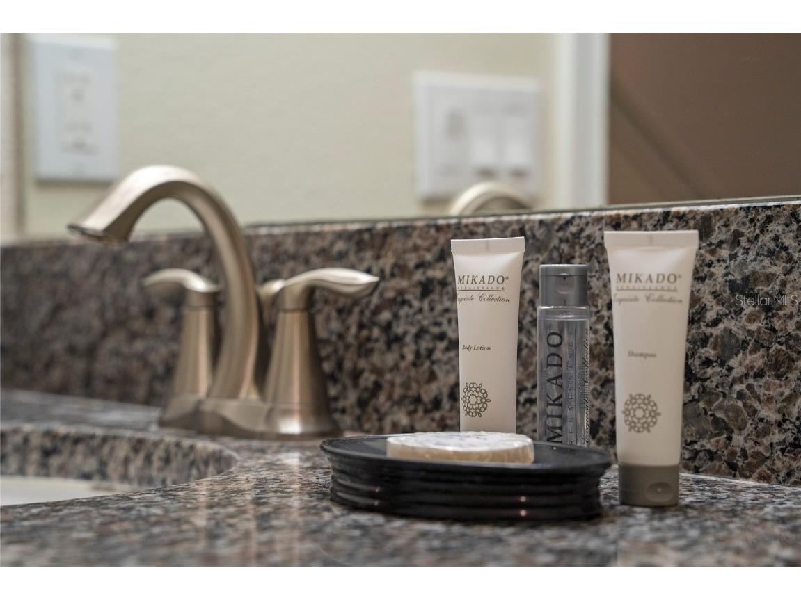 4803 Brier Rose Lane Kissimmee FL 34746 O6153815 image16