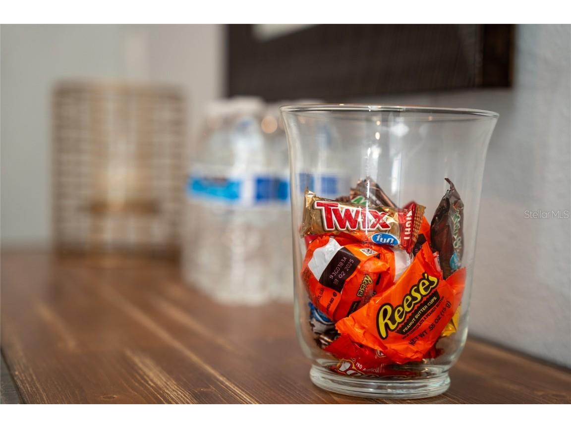 4803 Brier Rose Lane Kissimmee FL 34746 O6153815 image24