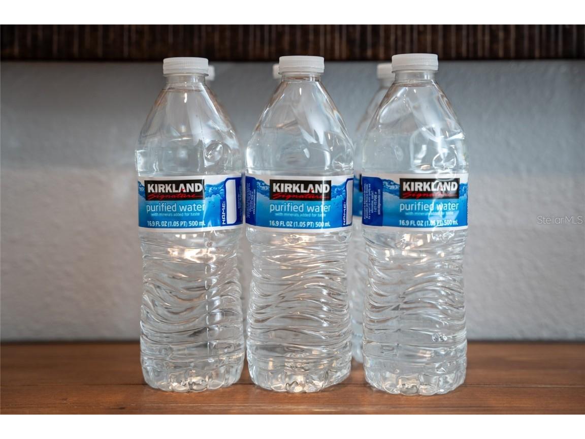 4803 Brier Rose Lane Kissimmee FL 34746 O6153815 image25