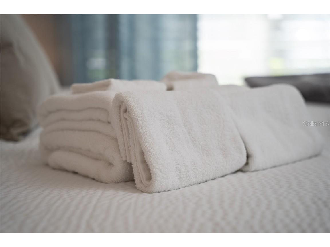 4803 Brier Rose Lane Kissimmee FL 34746 O6153815 image28