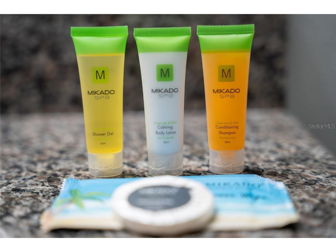 4803 Brier Rose Lane Kissimmee FL 34746 O6153815 image32