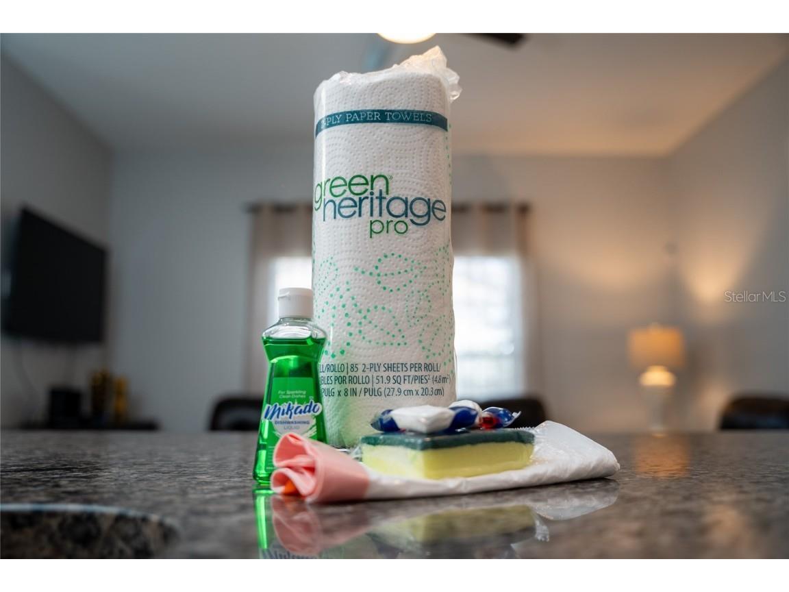 4803 Brier Rose Lane Kissimmee FL 34746 O6153815 image39