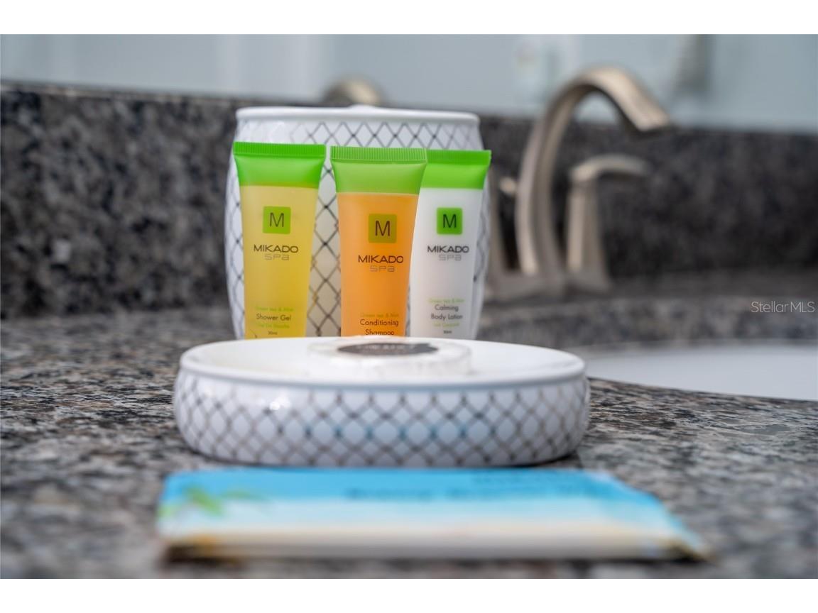 4803 Brier Rose Lane Kissimmee FL 34746 O6153815 image55