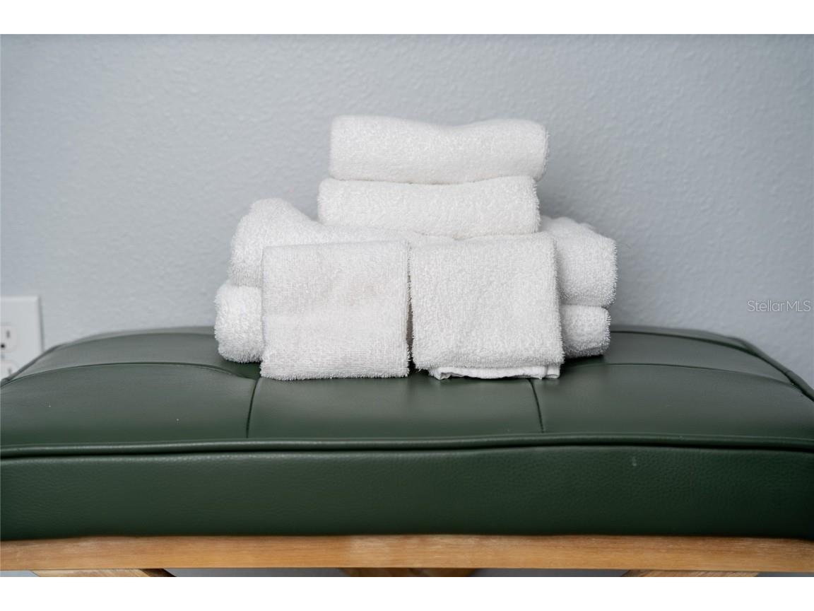 4803 Brier Rose Lane Kissimmee FL 34746 O6153815 image57