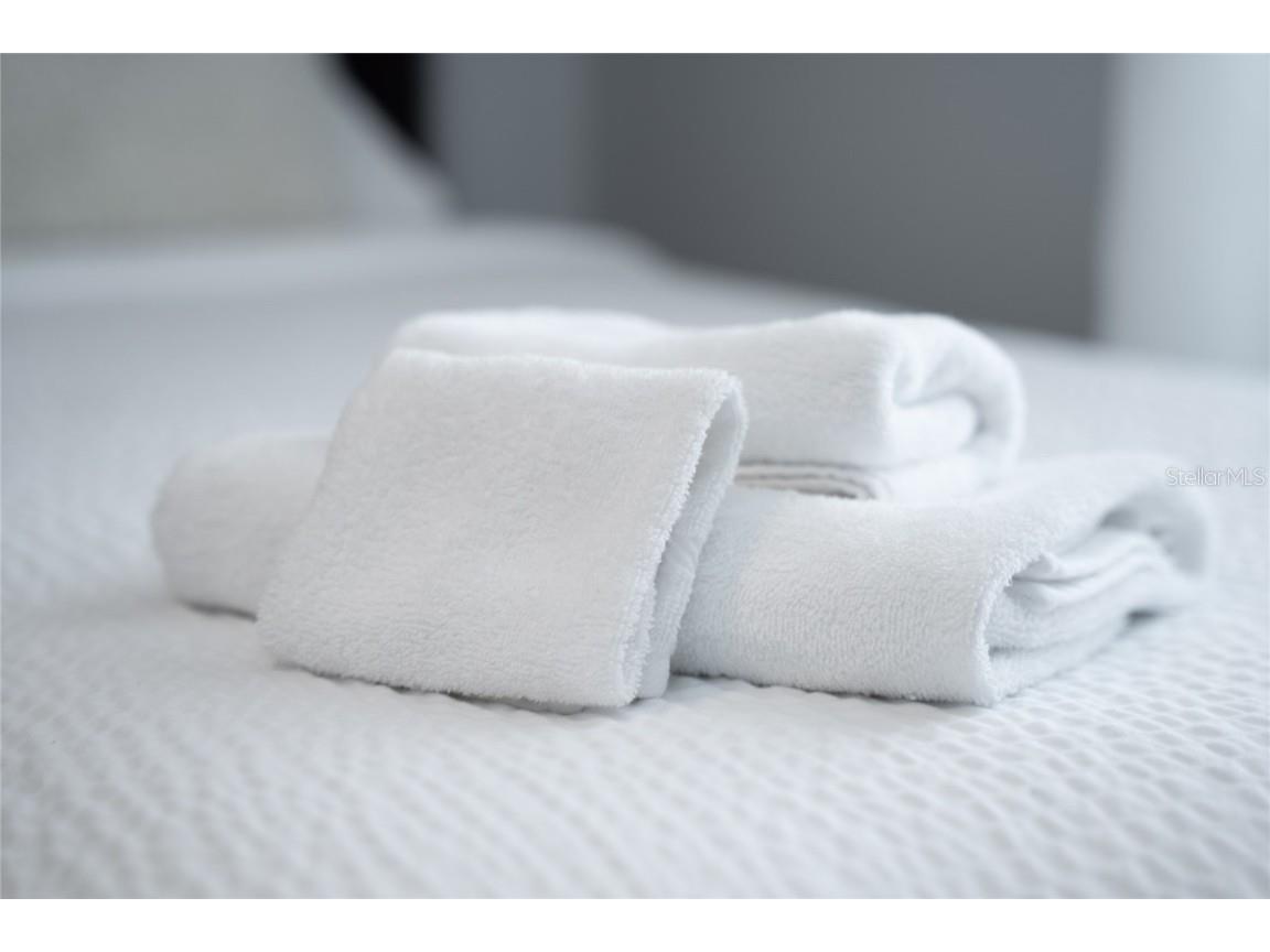 4803 Brier Rose Lane Kissimmee FL 34746 O6153815 image61