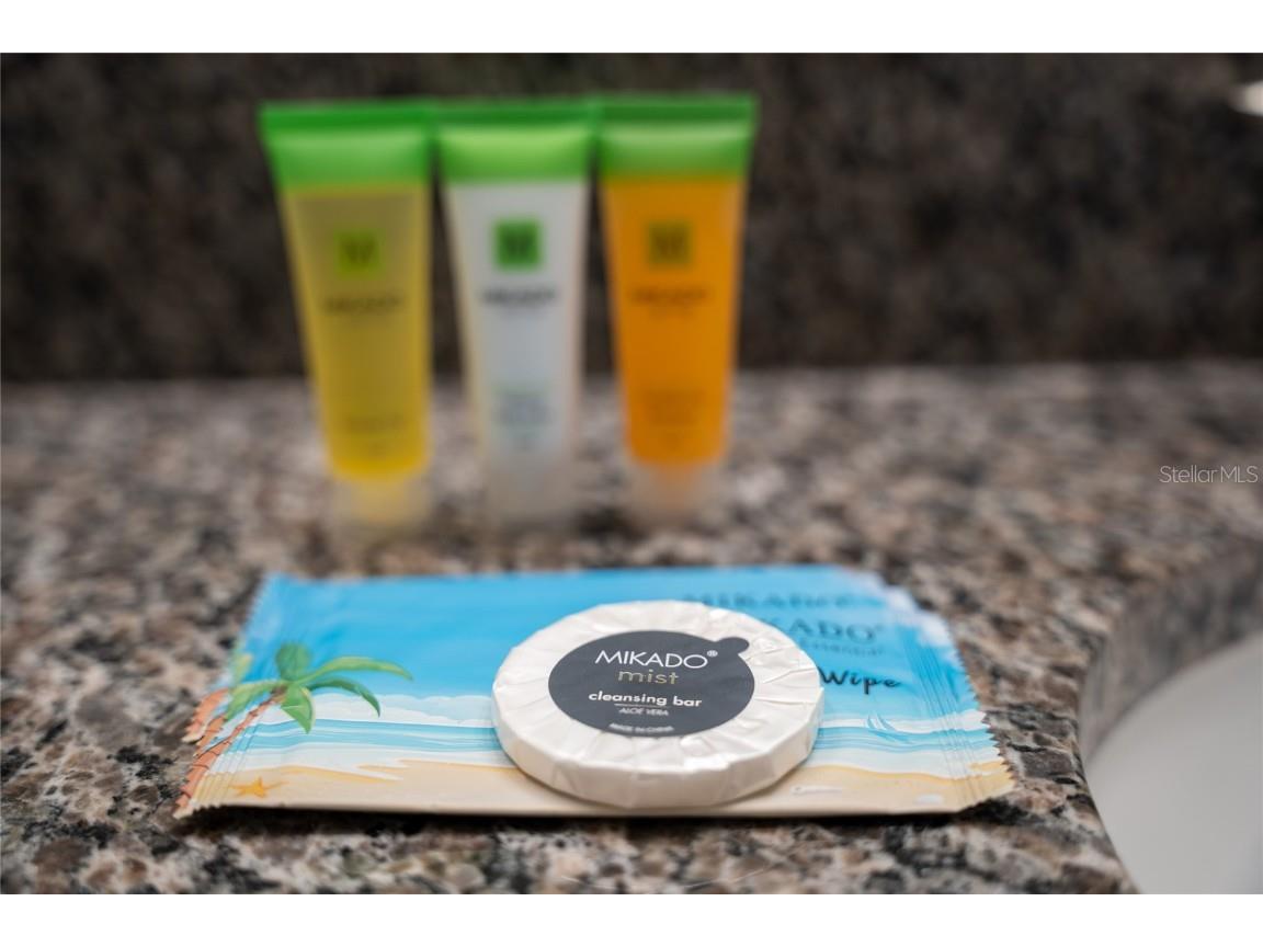 4803 Brier Rose Lane Kissimmee FL 34746 O6153815 image66