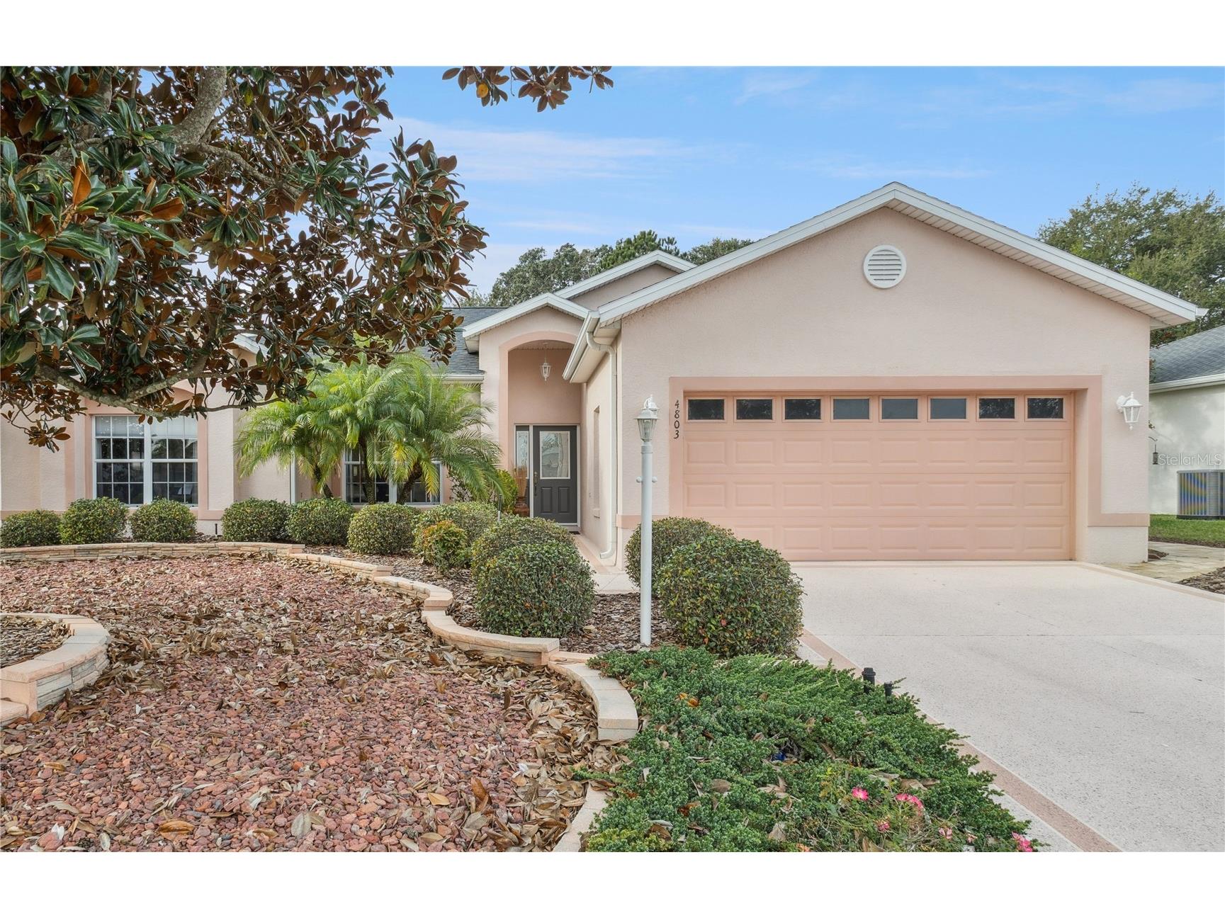 4803 Sawgrass Lake Circle Leesburg FL 34748 G5106470 image1