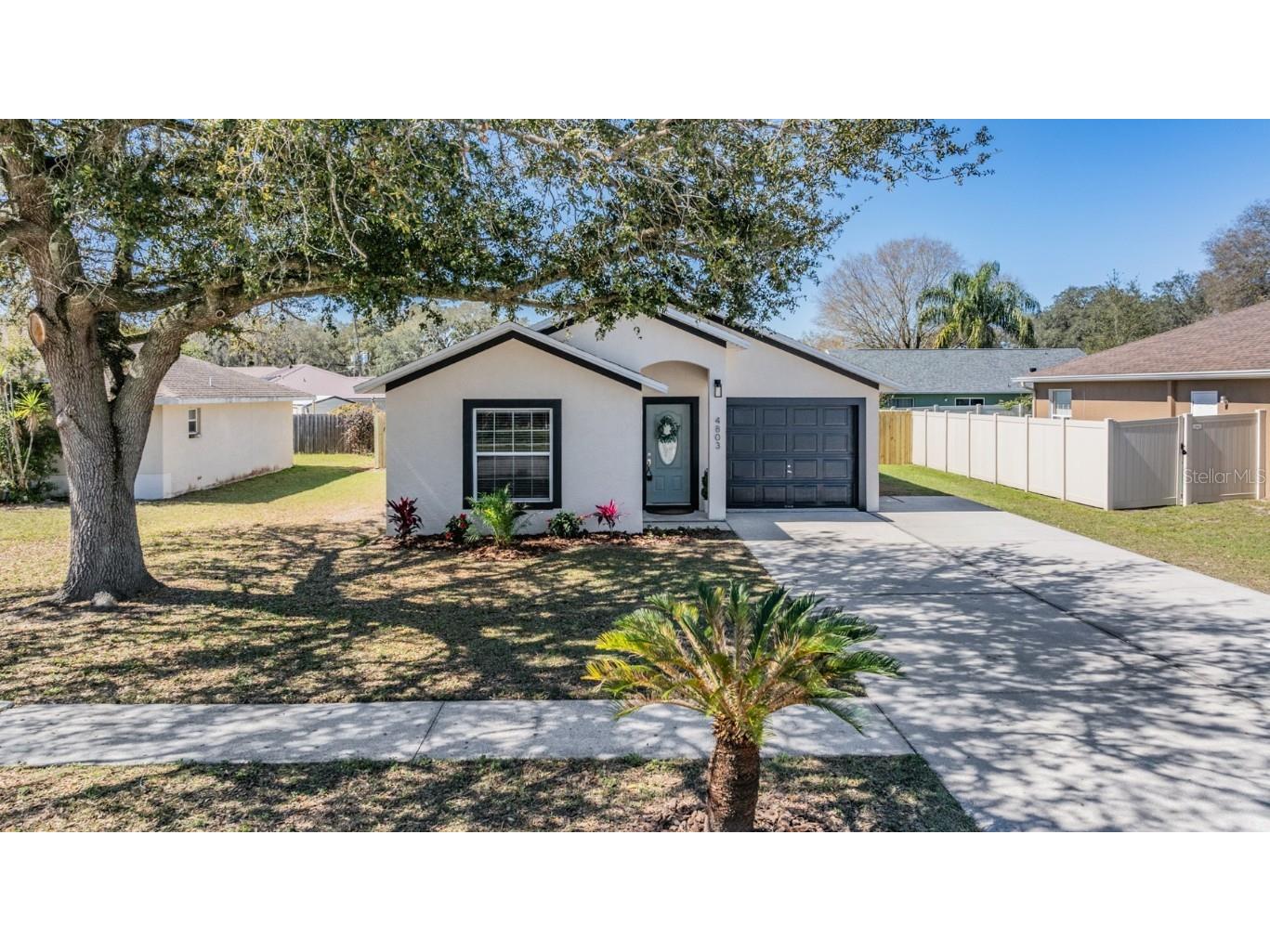 4803 Timber Way Zephyrhills FL 33542 T3504218 image1