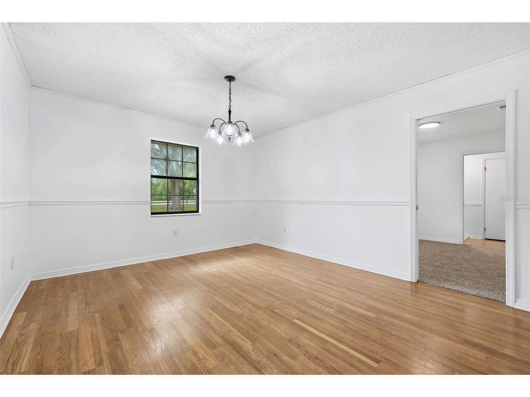 4803 W State Road 238 Lake Butler FL 32054 GC539341 image12