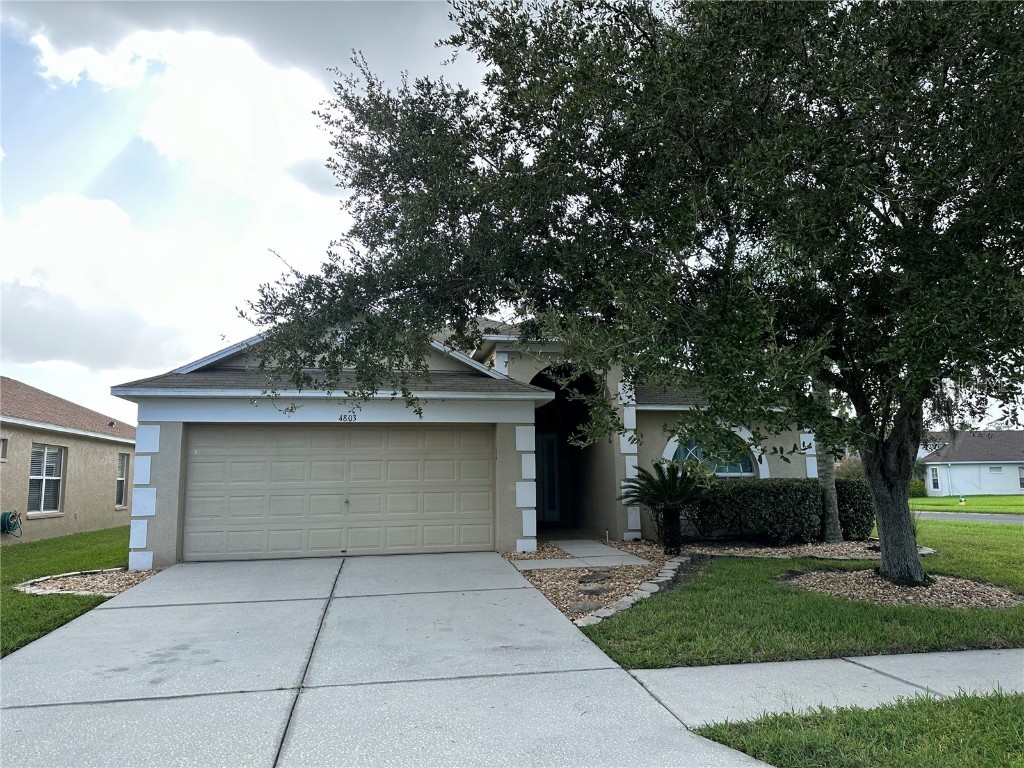 4803 Wessex Way Land O Lakes FL 34639 T3481844 image1