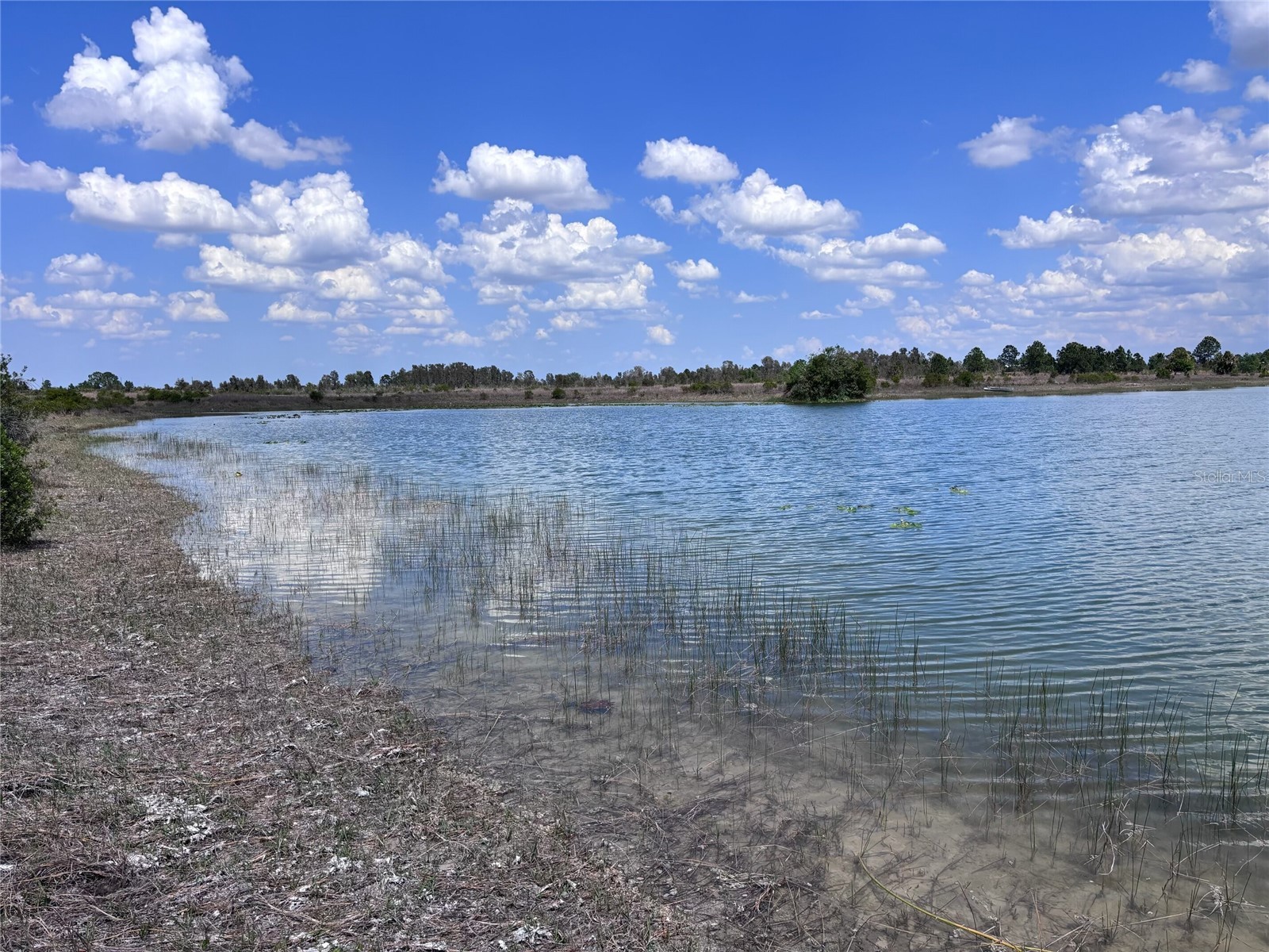 48033 Bermont Road Punta Gorda FL 33982 - No name C7522011 image1