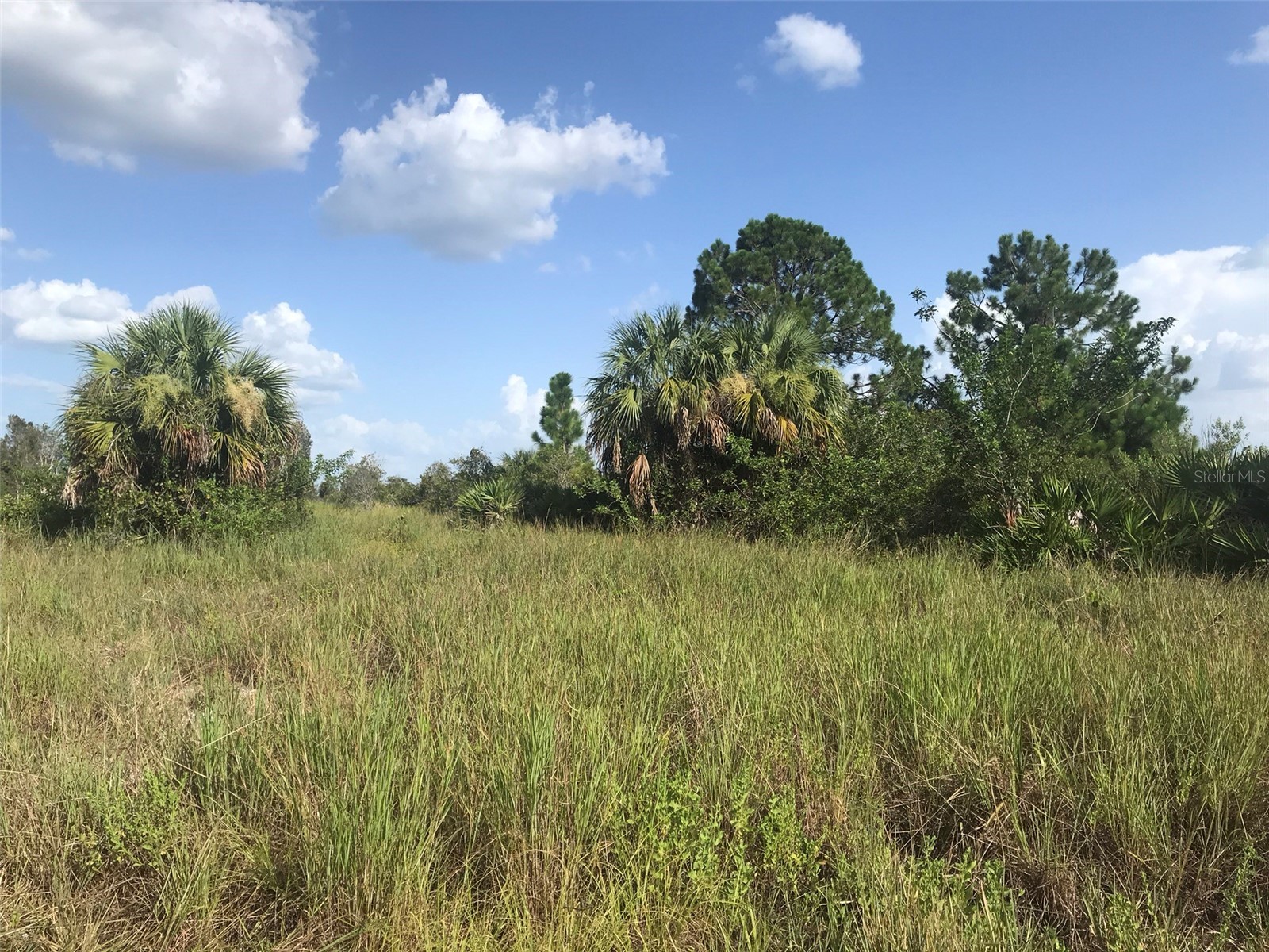 48033 Bermont Road Punta Gorda FL 33982 - No name C7522011 image10