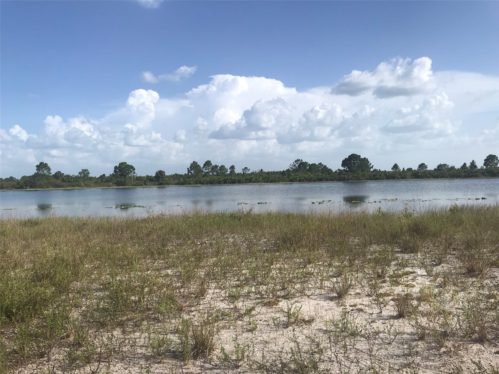 48033 Bermont Road Punta Gorda FL 33982 - No name C7522011 image12