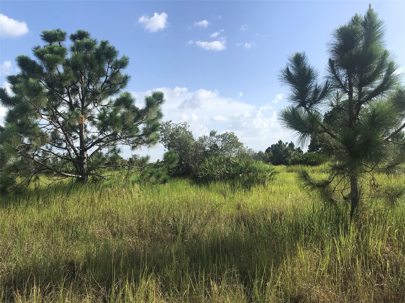 48033 Bermont Road Punta Gorda FL 33982 - No name C7522011 image13
