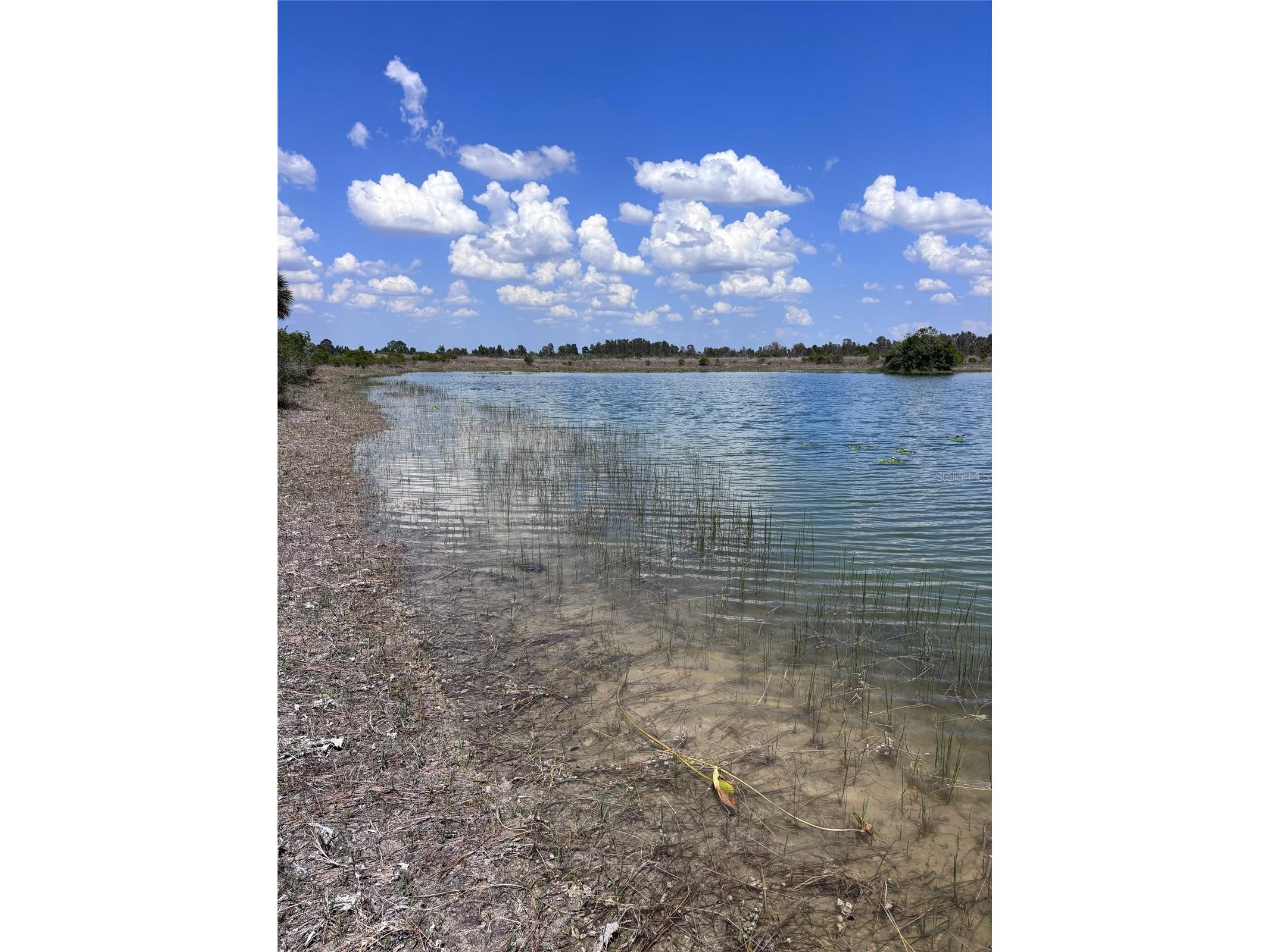 48033 Bermont Road Punta Gorda FL 33982 - No name C7522011 image14
