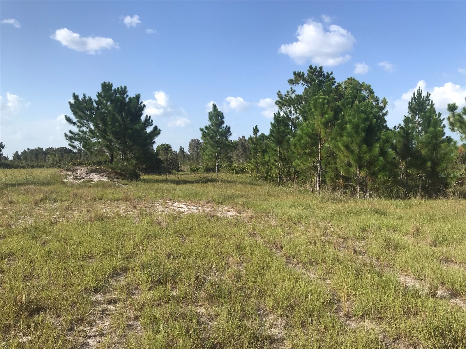 48033 Bermont Road Punta Gorda FL 33982 - No name C7522011 image15