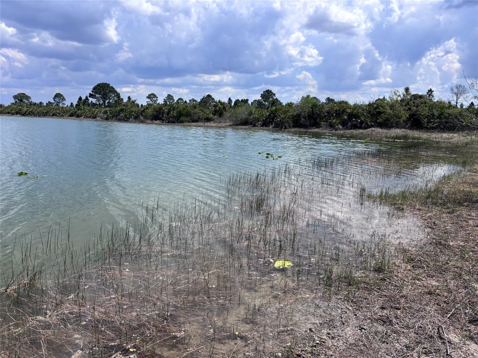 48033 Bermont Road Punta Gorda FL 33982 - No name C7522011 image16