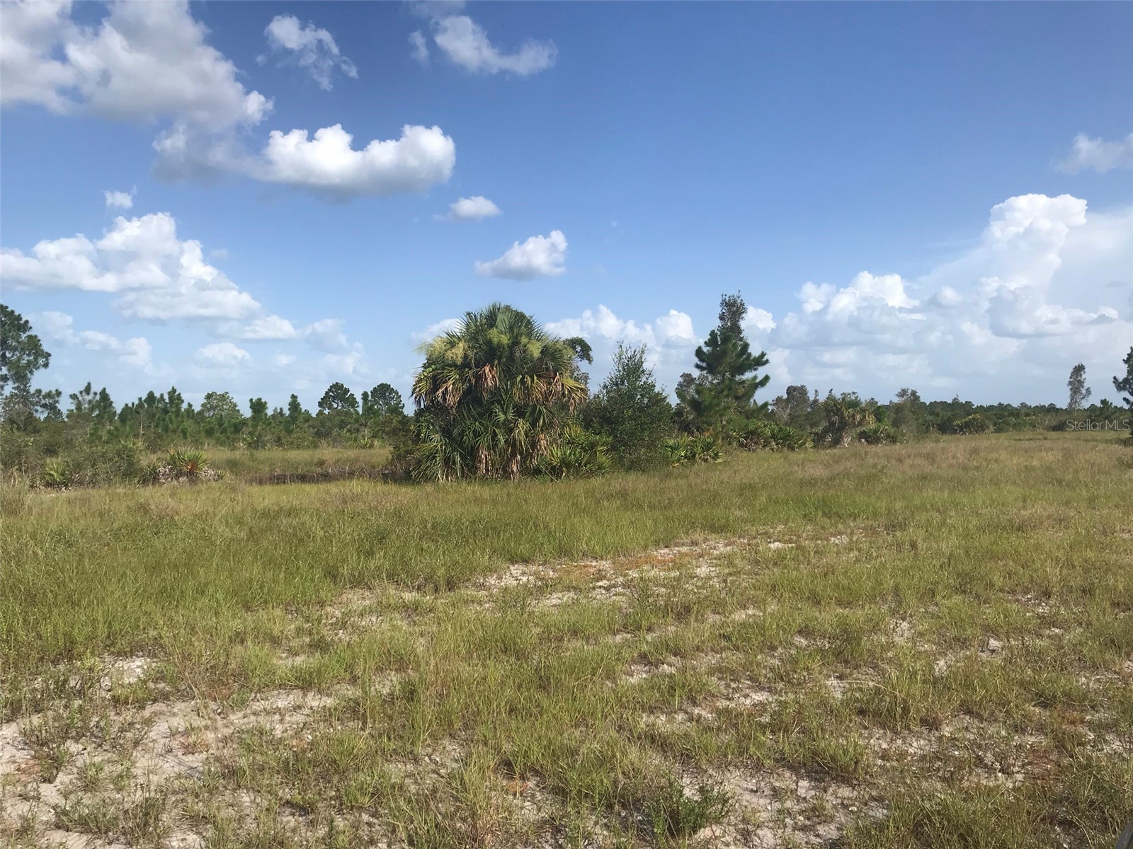 48033 Bermont Road Punta Gorda FL 33982 - No name C7522011 image18