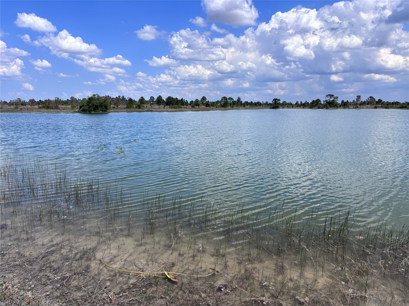 48033 Bermont Road Punta Gorda FL 33982 - No name C7522011 image2