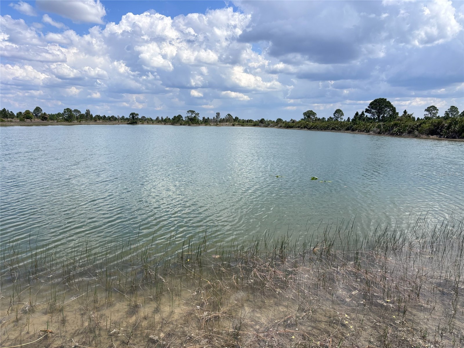 48033 Bermont Road Punta Gorda FL 33982 - No name C7522011 image20