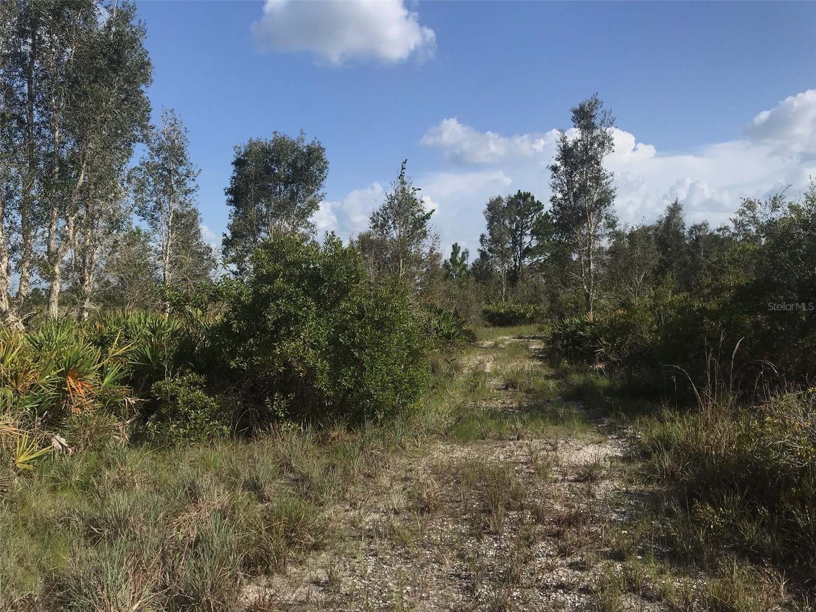 48033 Bermont Road Punta Gorda FL 33982 - No name C7522011 image21