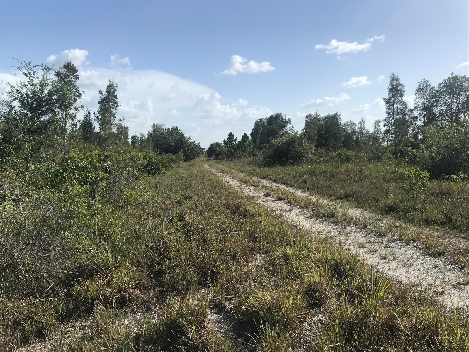 48033 Bermont Road Punta Gorda FL 33982 - No name C7522011 image22