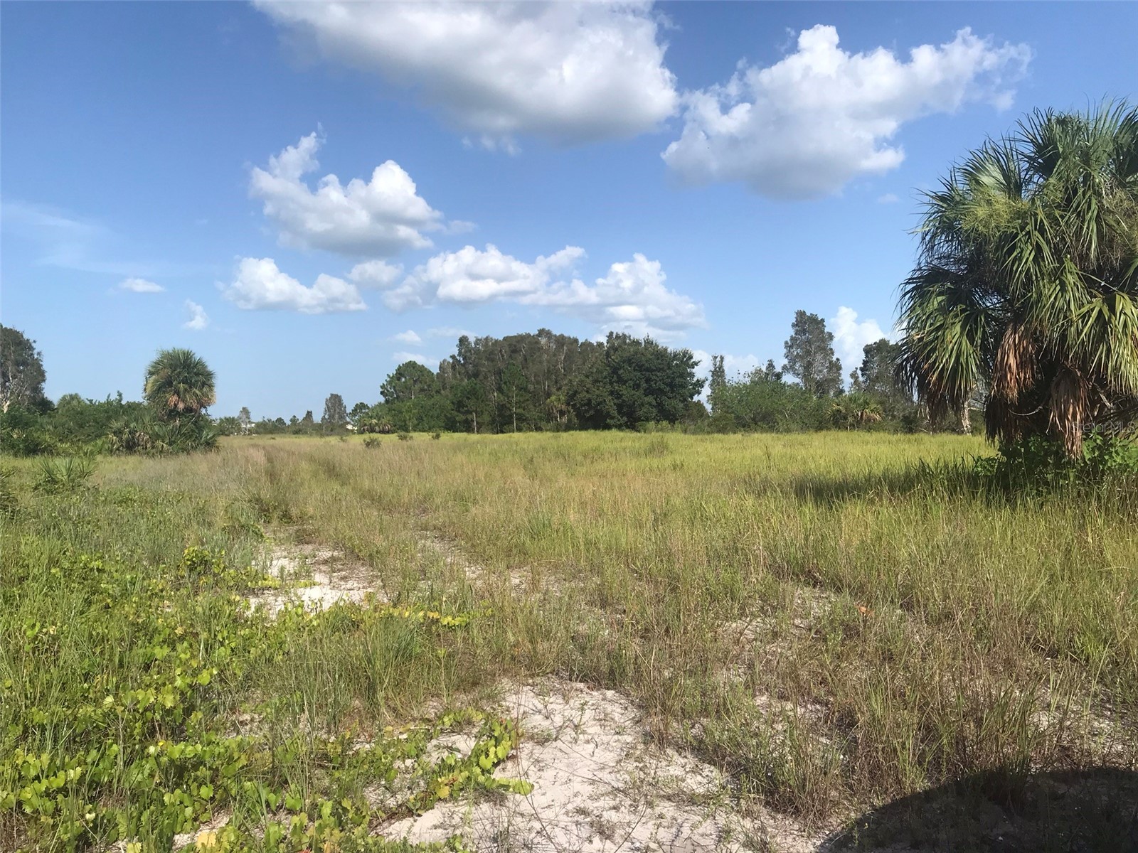 48033 Bermont Road Punta Gorda FL 33982 - No name C7522011 image23