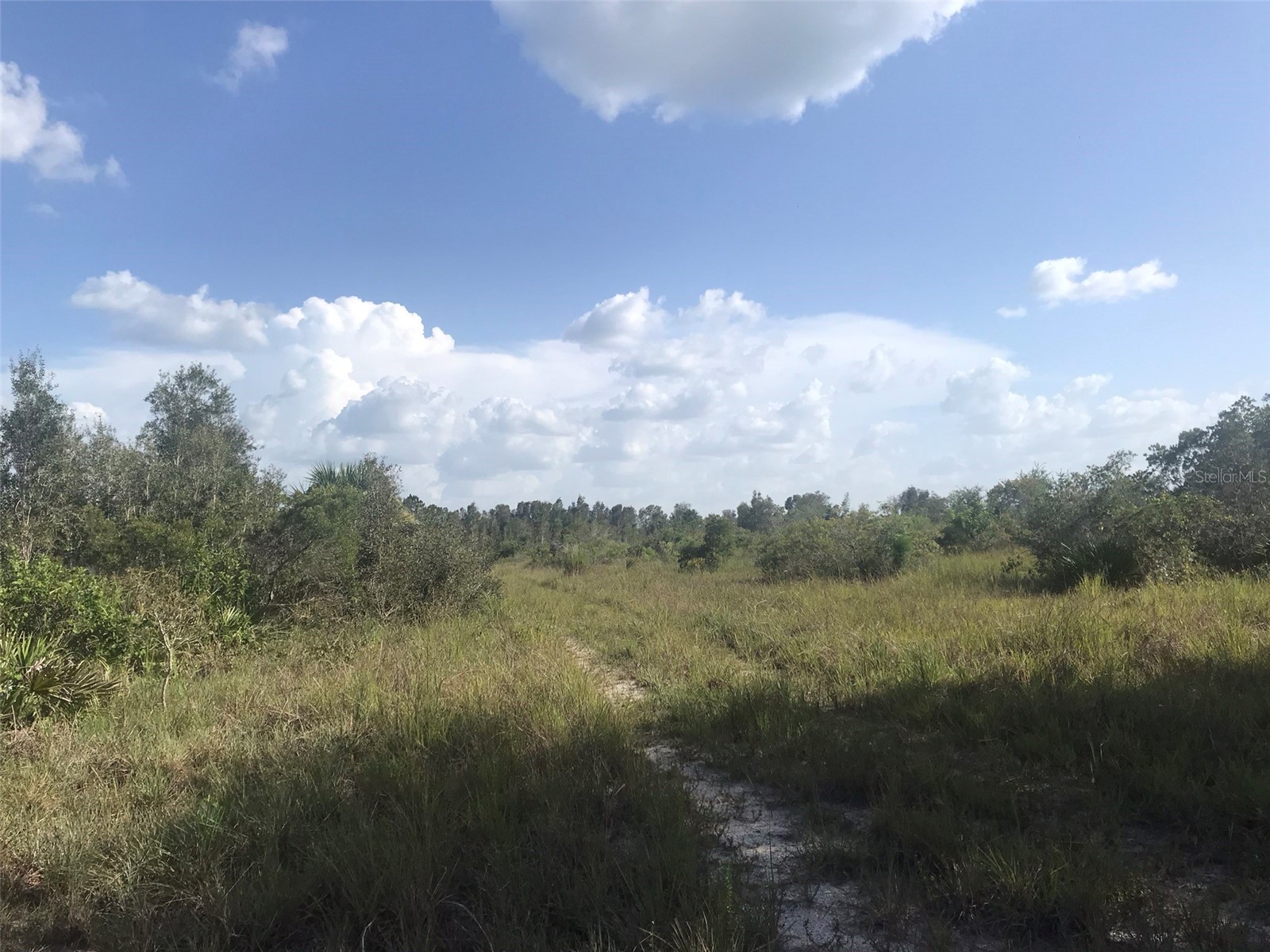 48033 Bermont Road Punta Gorda FL 33982 - No name C7522011 image24