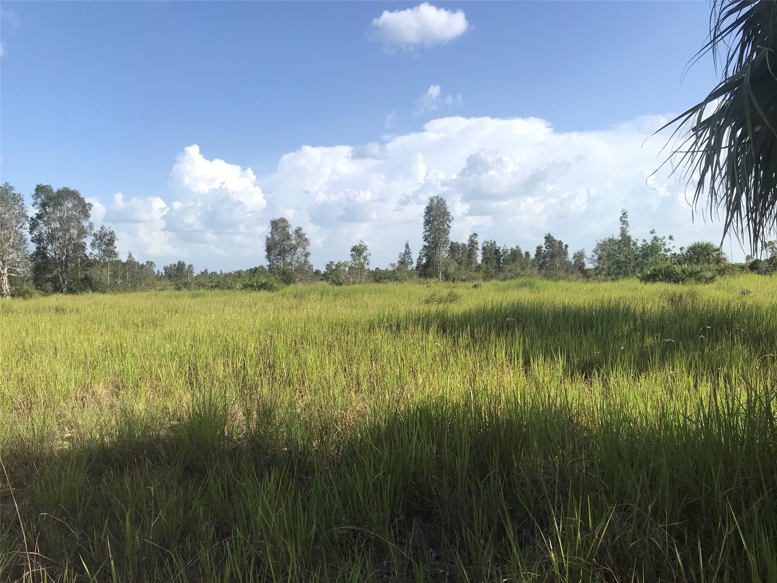 48033 Bermont Road Punta Gorda FL 33982 - No name C7522011 image27