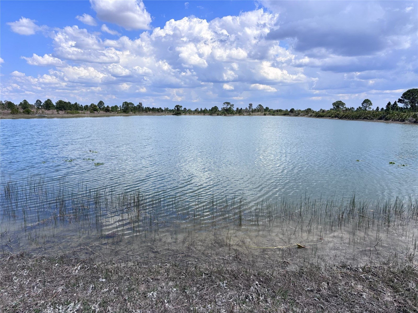 48033 Bermont Road Punta Gorda FL 33982 - No name C7522011 image3